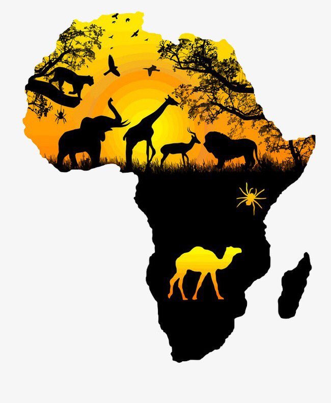 LamineZellag's tweet photo. Célébration de la #JournéeDeLafrique une occasion pour promouvoir et défendre les causes africaines #AfricaDay https://t.co/j95eZuDxFz