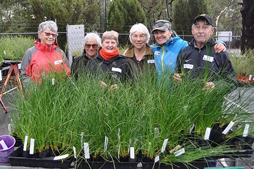 Our wonderful TCUP volunteers are braving the elements this afternoon to make sure our plant orders reach their new homes. Don't forget, this weekend is the last chance to pick-up your seedlings! More about TCUP: bit.ly/2J5StOQ