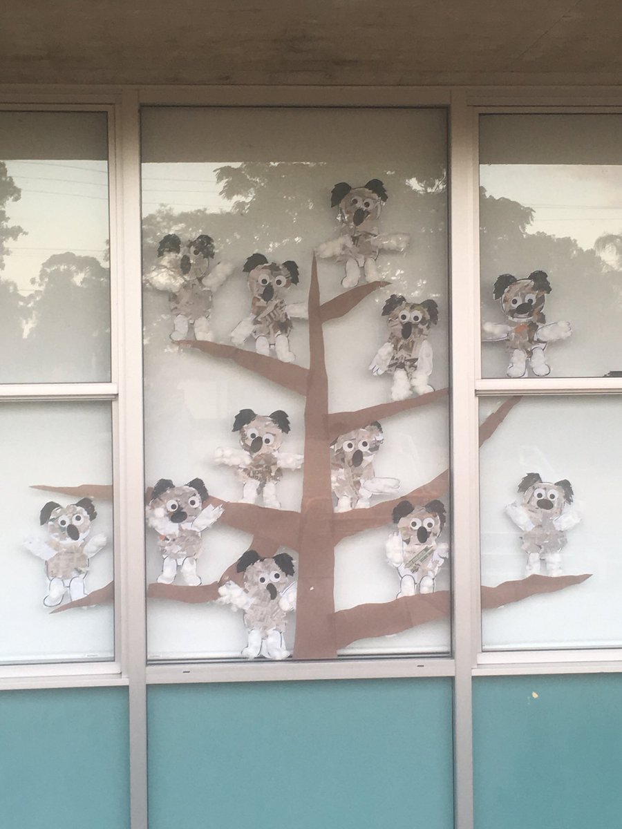 My first class window display. Don’t be jelly, yes that’s my whole class. #acued_p