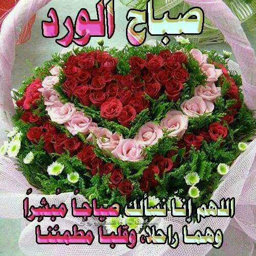 يارب (@hommkj) on Twitter photo 