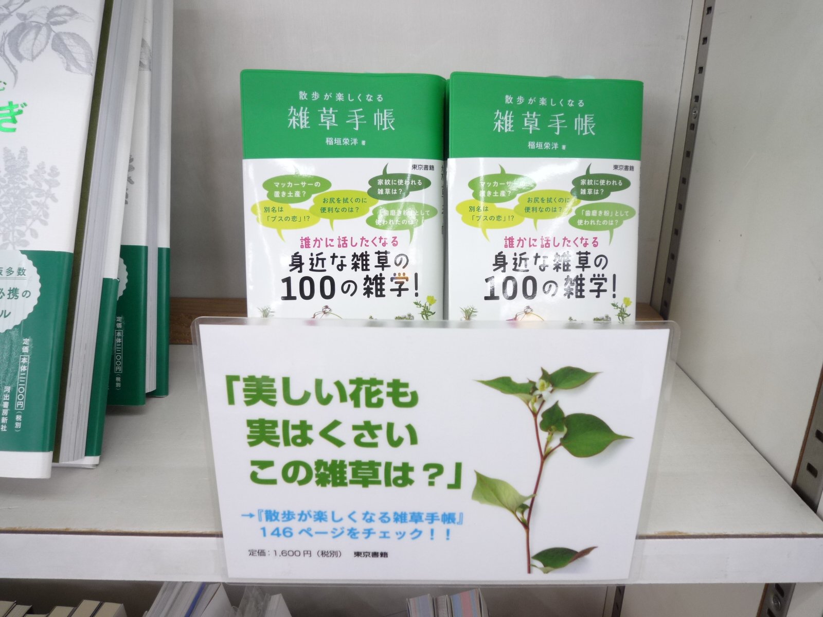 津山ブックセンター真庭店 実用書コーナー 散歩が楽しくなる雑草手帳 東京書籍より 散歩の途中 ふと足元を見たらかわいいお花が 何という名前かな と思った時にこの一冊 私も買いました おすすめです 雑草手帳 T Co 3aslkyx09s 津山ブックセンター真庭店 実用書コーナー 散歩が楽しくなる雑草手帳 東京書籍より 散歩の途中 ふと足元を見たらかわいいお花が 何という名前かな と思った時にこの一冊 私も買いました おすすめです 雑草手帳 T Co 3aslkyx09s