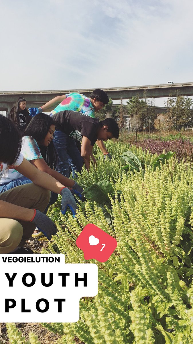 Veggielution's tweet photo. Thanks to @OpenSpaceSCC we’ll be able to host more #EastsideExplorers from local Middle Schools next year. We are honored to be on this list of amazing nonprofits doing great work in Environmental Education in Santa Clara County. #community #stewards #environmentalEE #urbanfarm https://t.co/zLKnJvx1HA