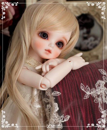 DOLK 東京本店 on X: