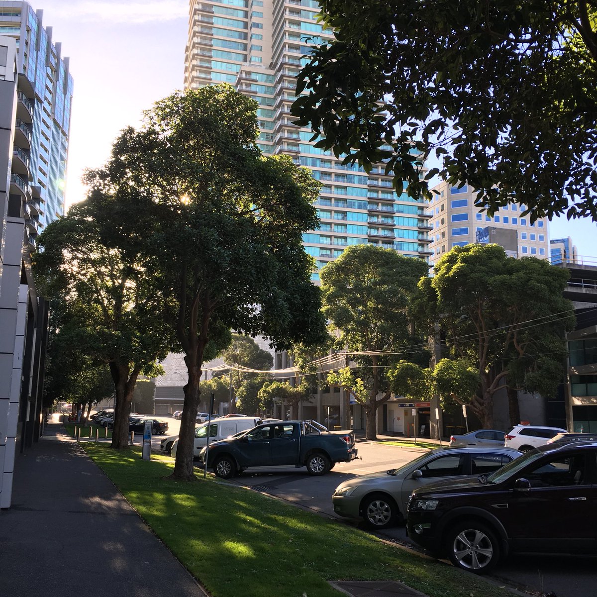 AlexMalkhome's tweet photo. Une série de photos sans filtres et sans retouches prise un matin à Melbourne 🇦🇺 #JeudiPhoto #Australie https://t.co/YwMxmiHxH6