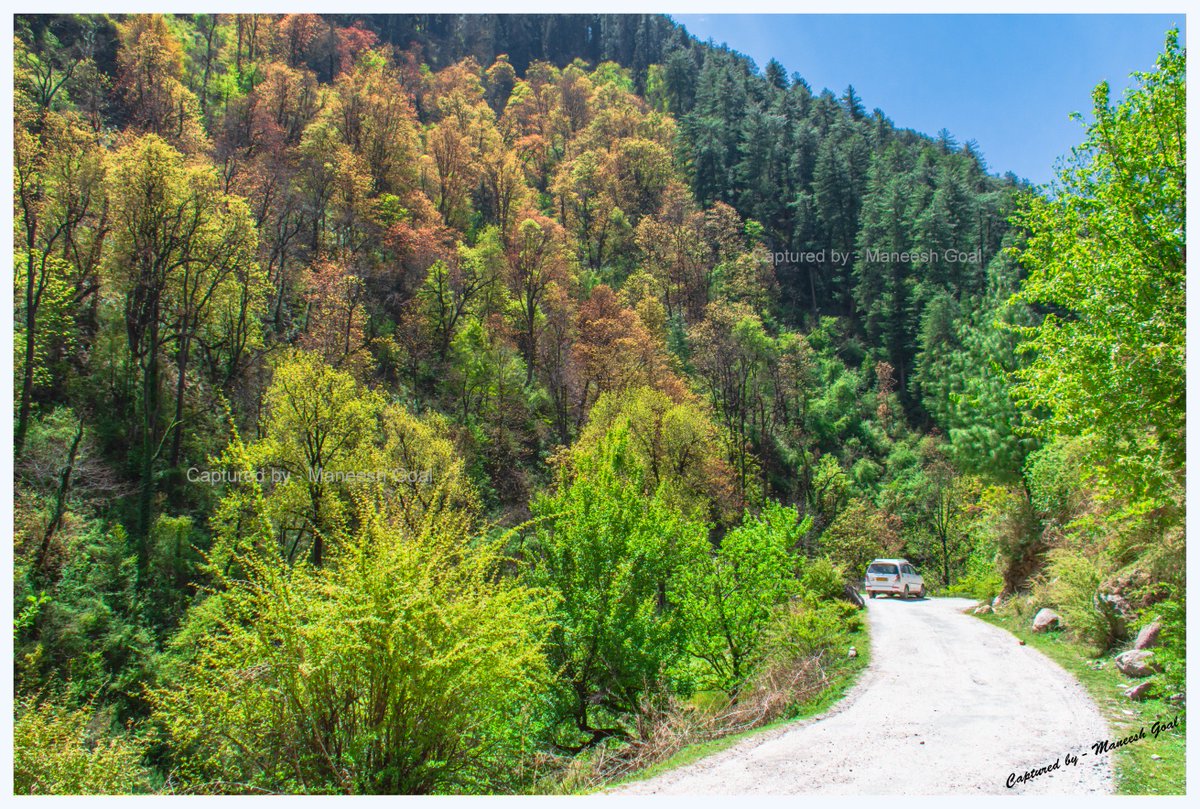 Colours of nature near Batahad
#TirthanValley #Spring #HimachalPradesh #Himalayas #ScenicDrives