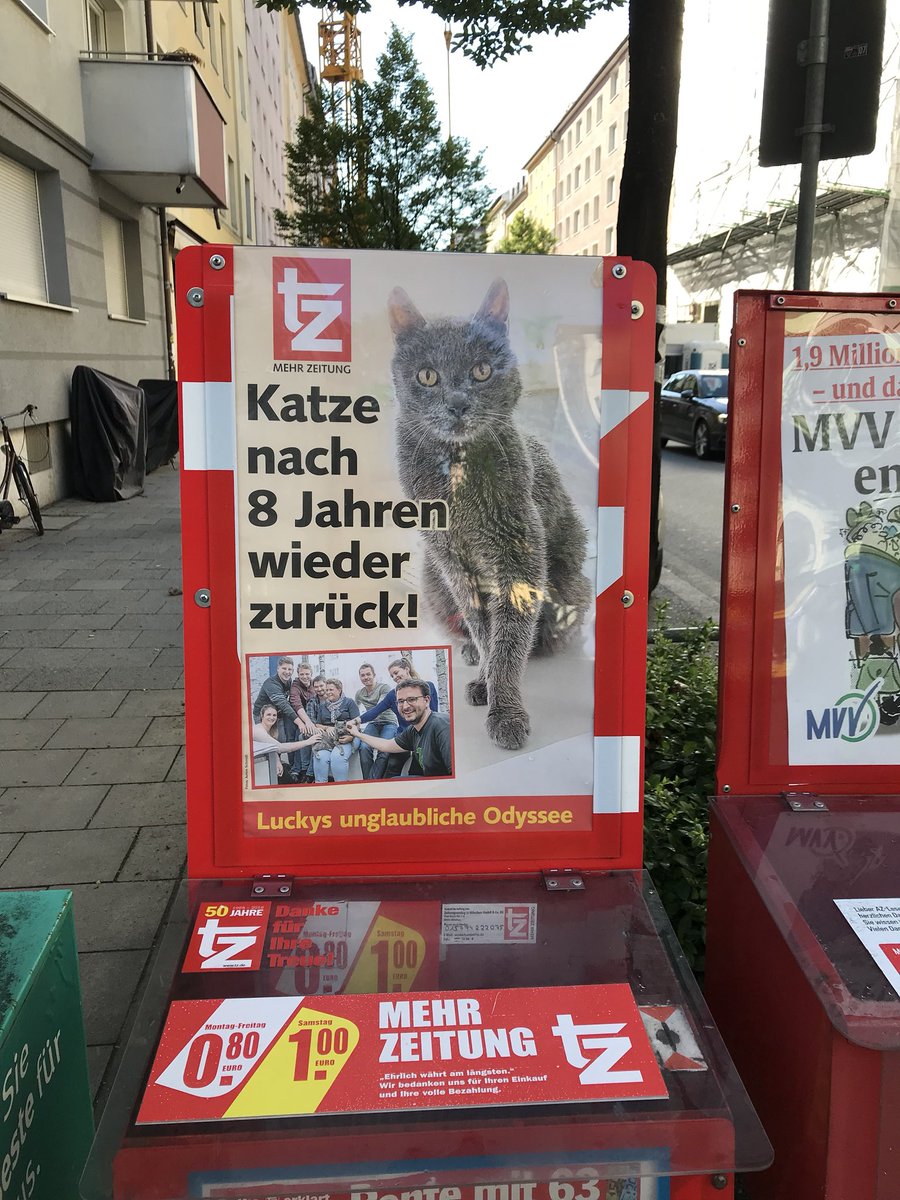 neviiven's tweet photo. Ze daily news: cat comes back home - after 8 y #countrylife https://t.co/6hthzeoDTQ