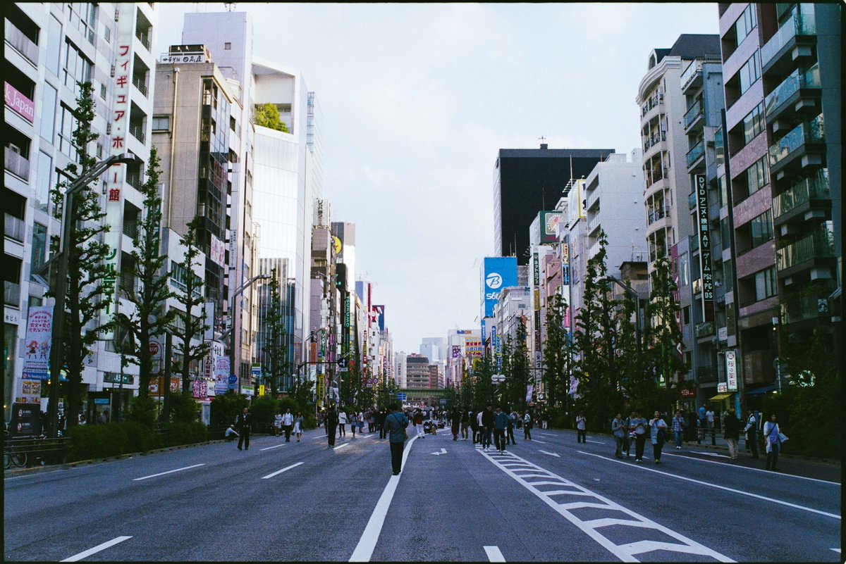 magihara's tweet photo. フジ記録用カラー100。全然きれいに写りますね。
#今日のフィルムデジタイズ https://t.co/2iCe1MUePn