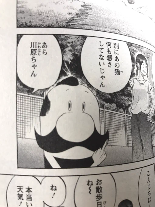 ガウちゃんはこういうペットです。 