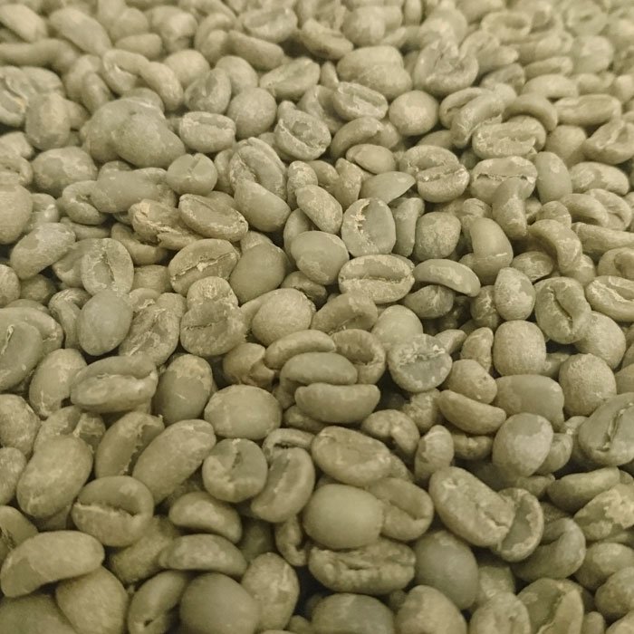 Kaldibiz's tweet photo. #Ethiopia Limu coffee (all washed) generally has a milder acidity than Sidama and Yirgacheffe; the flavors generally characterized by a balanced and clean cup. https://t.co/AuwV9VkRrY https://t.co/MVnoXhAfSC