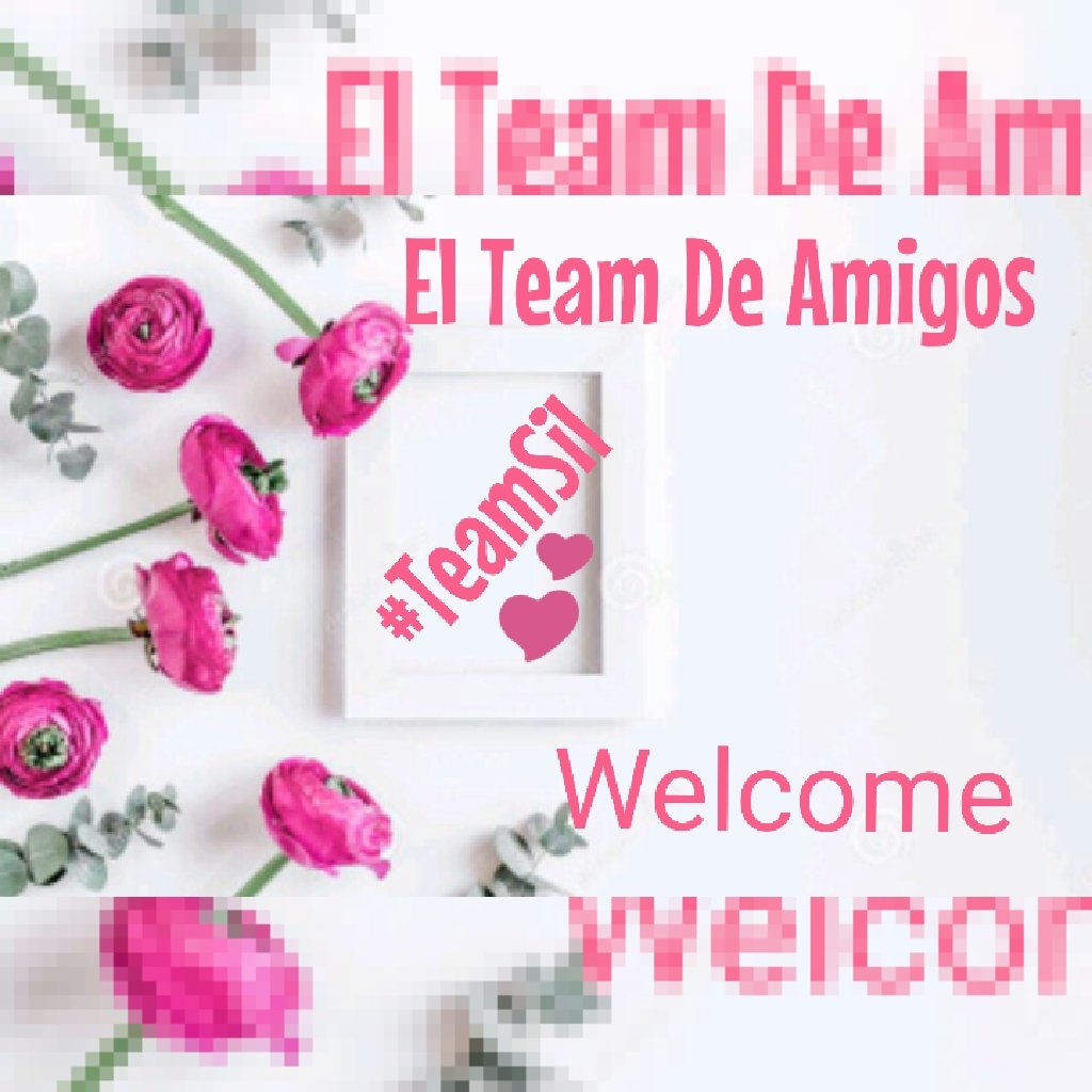 <a href="/CManiaaa/">Crypto Maniaaa</a> @SIL_SPADAFORA_2 @CheGain <a href="/666_alhlwan/">🇸🇦🌴🆇𓃵💛MBS #Saleh666 MBS 🖤𓃵🌴🆇 🇸🇦</a> <a href="/BrettCateley/">ifb</a> <a href="/vuhtans/">Rumeli Tekfuru</a> @SUPERMAN__KRIPT <a href="/anie1215/">💕 anie 💕 my son is my life 💕</a> @lobowobsessao <a href="/nu_vision_quest/">🦅nu_vision_quest🏹</a> <a href="/lililuly_22/">🇦🇷🌝liliana🌝🇦🇷</a> <a href="/Mona_Rap/">🌸Mona Rap 🎼 🇲🇽</a> <a href="/TavacareVzla/">Tavacare Vzla</a> <a href="/2slickforu/">J#MGWV</a> <a href="/saleh_1964/">🇸🇦💛saleh alhlwan🖤🇸🇦محظورمتابعة</a> <a href="/Night_Wolf_1/">NightWolf</a> <a href="/aTiaFida/">tia</a> @EMMA_MIBB <a href="/fire_lovly/">👑 L O V L Y 👑 ²⁸ ᴷ</a> <a href="/quietstormaz/">TeeSlay</a> <a href="/NingrumAning/">Aning Ningrum</a> @Only__Sweet @elisiomark <a href="/EliLeonarda/">👄☀ Ệŀïẓäńġệŀä 🌷🌿</a> <a href="/vinaymishra1961/">VINAY</a> <a href="/mortizherrera51/">MƛƲƦƠ *🇨🇱</a> <a href="/AyrtonGrange/">MB 👑 Ayrton 🔥</a> @Sil_Spadafora_1 @TeamSil_ friend even if you have not put in your bio, you are in my mentions, they will follow you, you are part of my team. 

#TEAMSIL 

WELCOME  <a href="/CManiaaa/">Crypto Maniaaa</a>