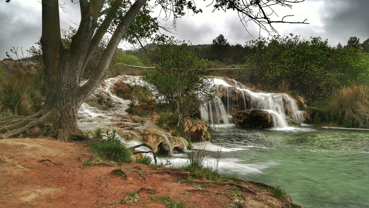 JoseMaFustel's tweet photo. Laguna Lengua y Laguna Salvadora. @MeteoAlbaceteDR @meteocr @ElTiempoCMM @La_Cerca @TribunaAlbacete @LaTribunaCR @ruideraviva @terralaminitana https://t.co/HxKN8yGYs5