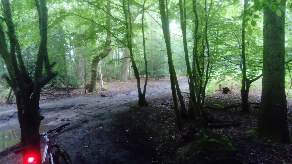 AndrewSalisbur2's tweet photo. I quite like a bit of damp ancient woodland in the morning, but #boxhill well hidden by mist #mountainbiking #MyGreenCommute #Dorking to @RHSWisley via #BookhamCommon & #OckhamCommon https://t.co/kFZxwvYmka
