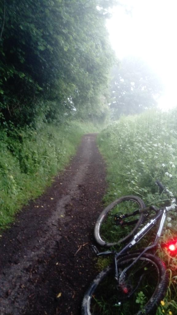 AndrewSalisbur2's tweet photo. I quite like a bit of damp ancient woodland in the morning, but #boxhill well hidden by mist #mountainbiking #MyGreenCommute #Dorking to @RHSWisley via #BookhamCommon & #OckhamCommon https://t.co/kFZxwvYmka