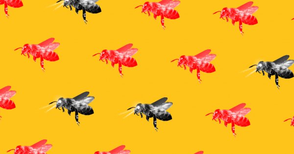 New buzz from AI and robotics 🐝🤖 #robotics #future #AI bit.ly/2kn6328