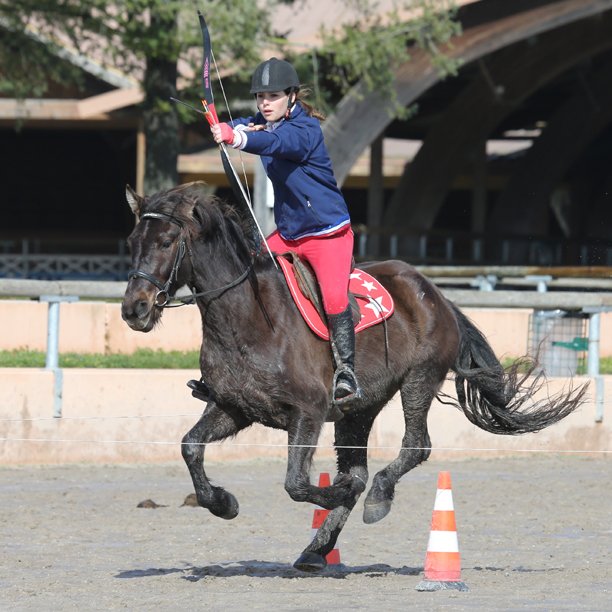 Cheval_IdF's tweet photo. A tous les archers : les engagements sont ouverts pour les Championnats Régionaux de Tir à l'arc à cheval.
Rendez-vous le dimanche 10 juin à Fontainebleau.

N° concours club SIF : 1839940
Clôture le 4 juin 2018.

©PSV

#cheval #tiralarc #championnat #régional #CREIF #archer https://t.co/Wqa24L6TGH