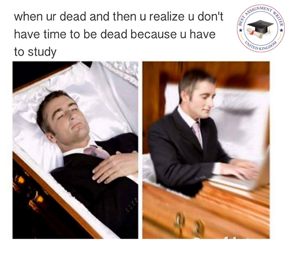 GamilaCairo's tweet image. Current situation!
How many of you can relate to this?
#bestassignmentwriter #memes #RISEAGAIN #University #coffin #assignments #deadlines #thesis #Dissertation