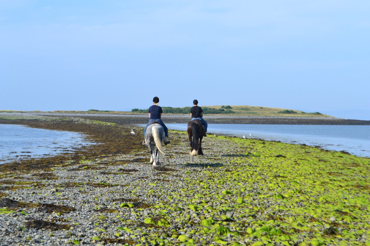 Award winning equestrian vacations in #Ireland with 
Cooper's Hill Equine. Like and follow our page for regular updates. Visit our website for more information coopershilllivery.wixsite.com/coopers-hill-e…
#irishequestrianvacations #loveirishhorses
#tackroomfriday