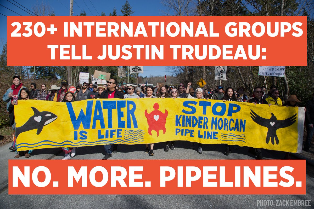 EAY_fdn's tweet photo. Today @eay_fdn joins Over 230 organization from around the world to sign and agree that @JustinTrudeau must quit support for #KinderMorgan Pipeline & begin a managed decline of Canadian tar sands. #StopKM
#eayf #ClimateAction
Read the letter: https://t.co/IB7U3UOReF https://t.co/bwLLKFOksZ