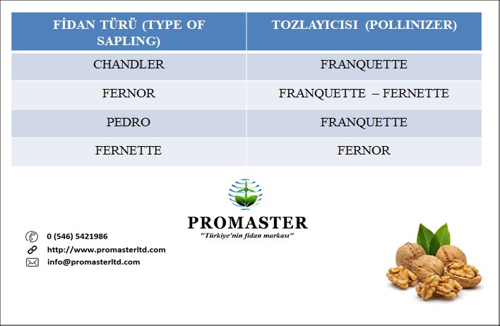 PromasterTarim's tweet image. 