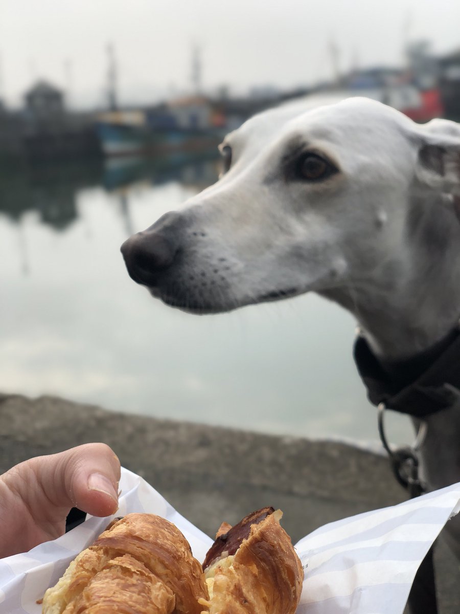 HamiltonChivers's tweet image. Enjoying my morning cheese croissant 🥐 😝