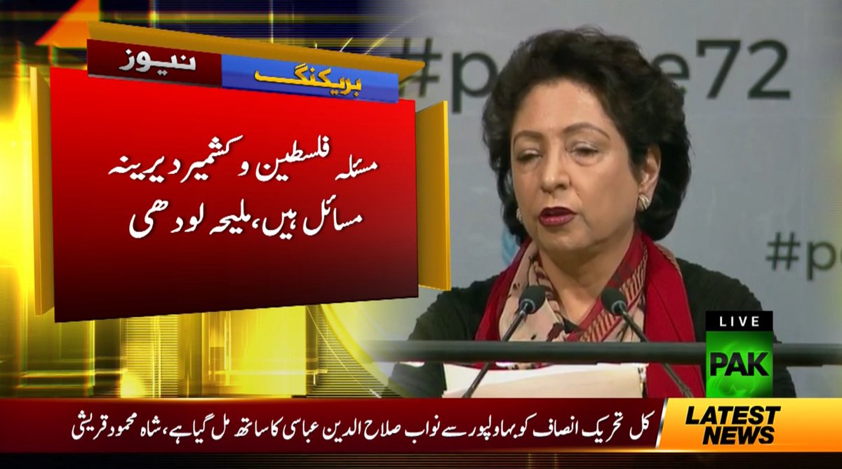 سلامتی کونسل اپنے فرائض میں ناکام رہا، ملیحہ لودھی 
#PakNews #PakNewsHQ