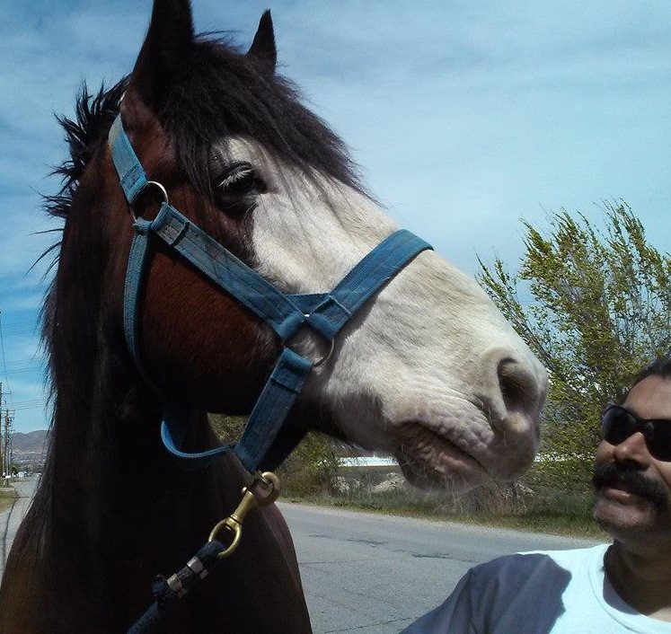 Canines With a Cause tweet media