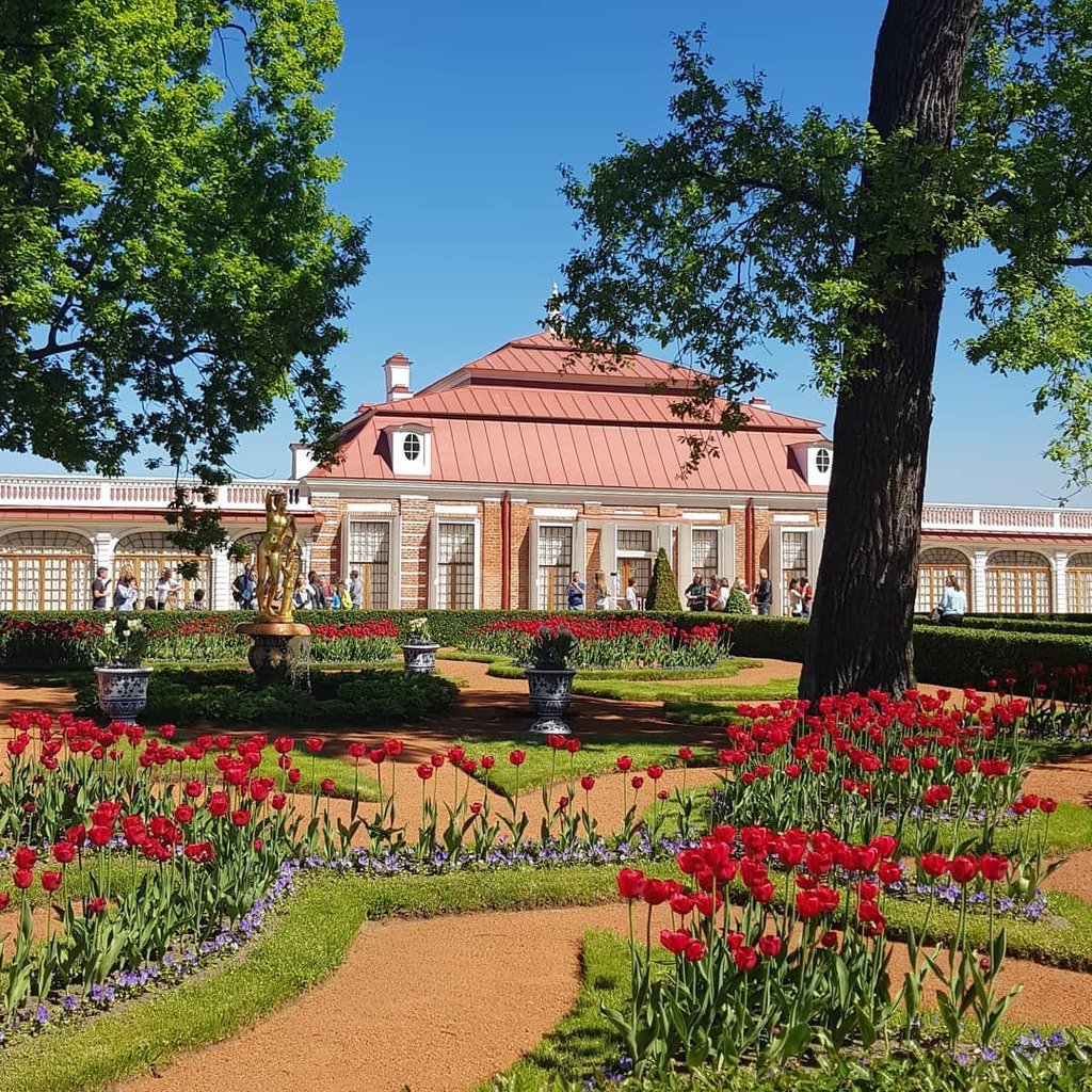 Stpetersburg Guided On Twitter Mon Plaisir A French - 