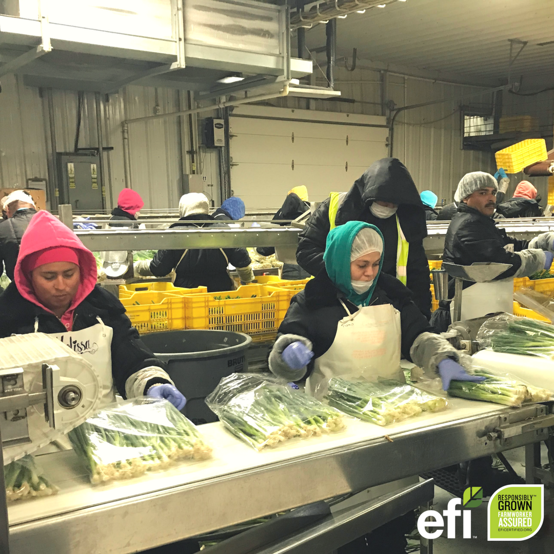 EquitableFood's tweet photo. EFI is proud to support a profound cultural shift on farms!
We visited a JV Smith ranch in Baja, where the workforce has a family park, basketball court, community events and onsite education with INEA. #EquitableFood #FarmworkerAssurance #Farmworkers #GrowtheGood @JVSmithCo https://t.co/PhLNezLsso