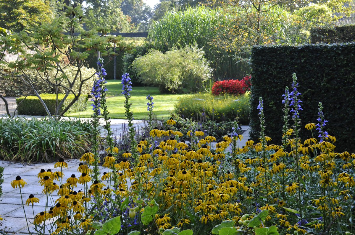 Een bijzondere Midzomeravond in de Tuinen Mien Ruys! Donderdag 21 juni van 18.30 tot 21.30 uur. Met muziek, hapje/drankje, informatie over de Tuinen en verhalen verteld door leden van de Bibliotheek Dedemsvaart. Voor meer informatie: tuinenmienruys.nl/nl/515/21-juni…