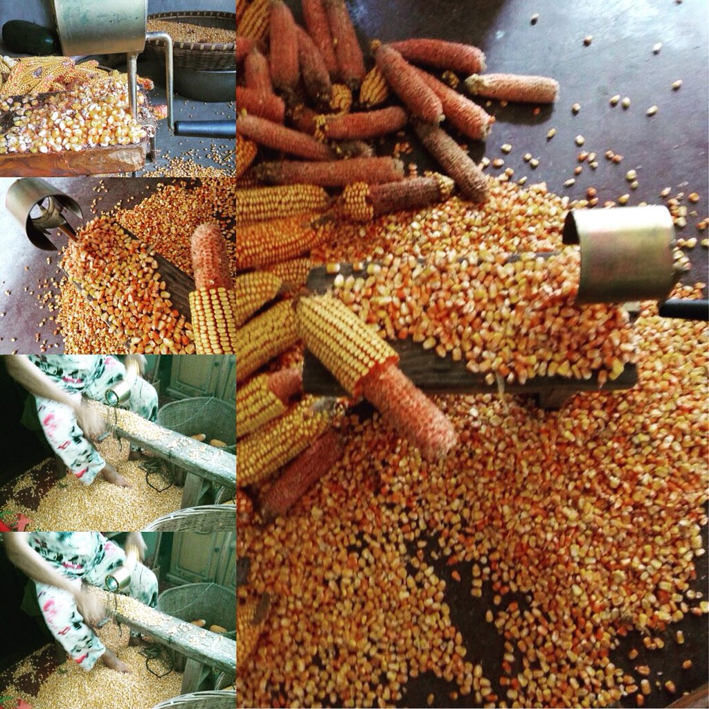 lightartliving's tweet image. Hand crank Corn Thresher Corn Cob Remover Peeler Portable Corn Thresher 
Stripper Cutter Kitchen Gadgets
Hand-type home high-efficiency corn thresher
Homecityshop.com
#cornpeeler #cornthresher #cornmachine #cornhole #corncutters #corncobpipe #cornremoval #cornrecipe