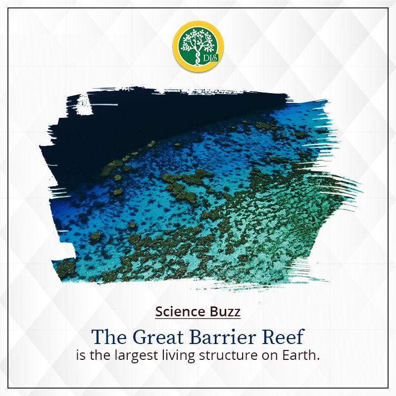 disdwarka23's tweet image. #ScienceBuzz #DISDwarka