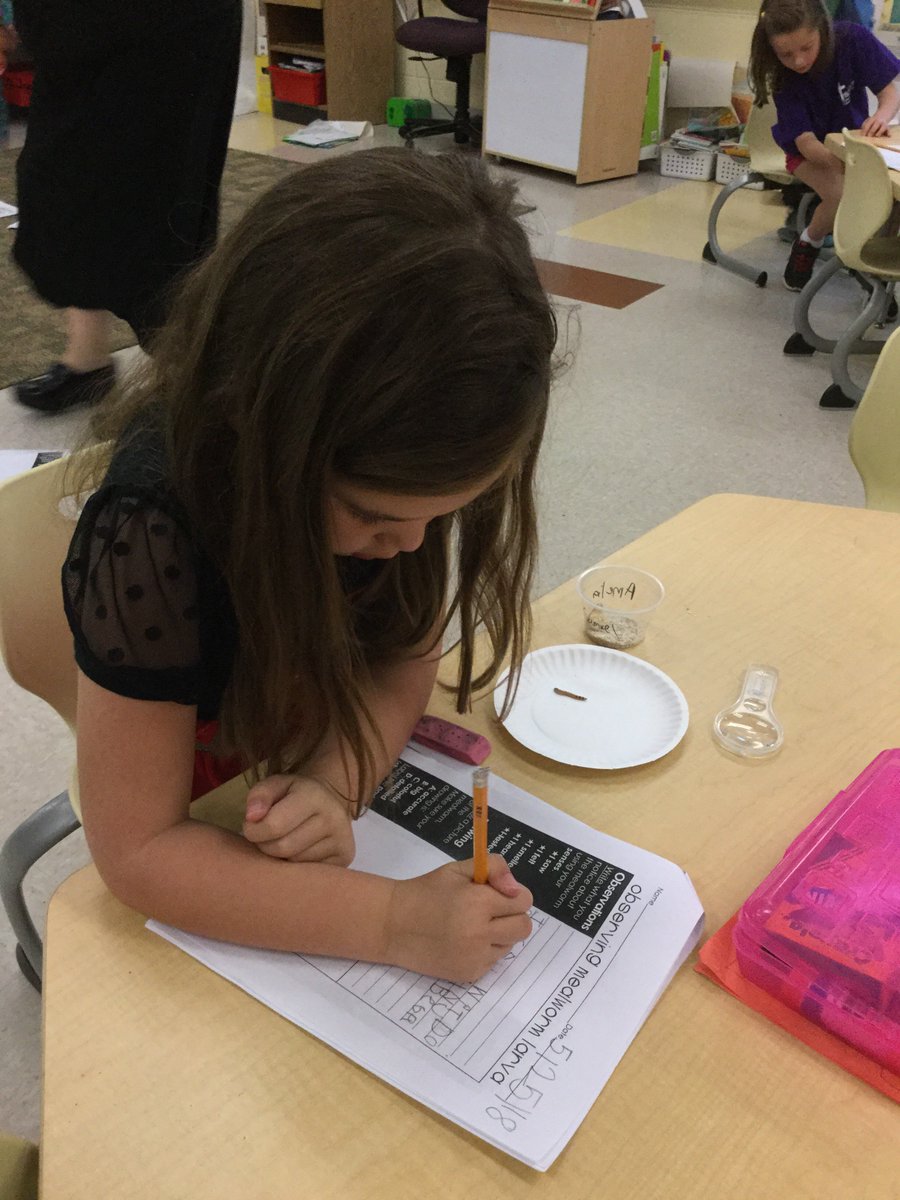 EKirkSTEM's tweet image. “My mealworm has 6 legs.” “My mealworm molted!” “My mealworm is growing.” Observing life cycles like real scientists in Mrs. Garner’s K class. @FRESWarriors #pcpsFRES @julezvt20 #lifecycles #science