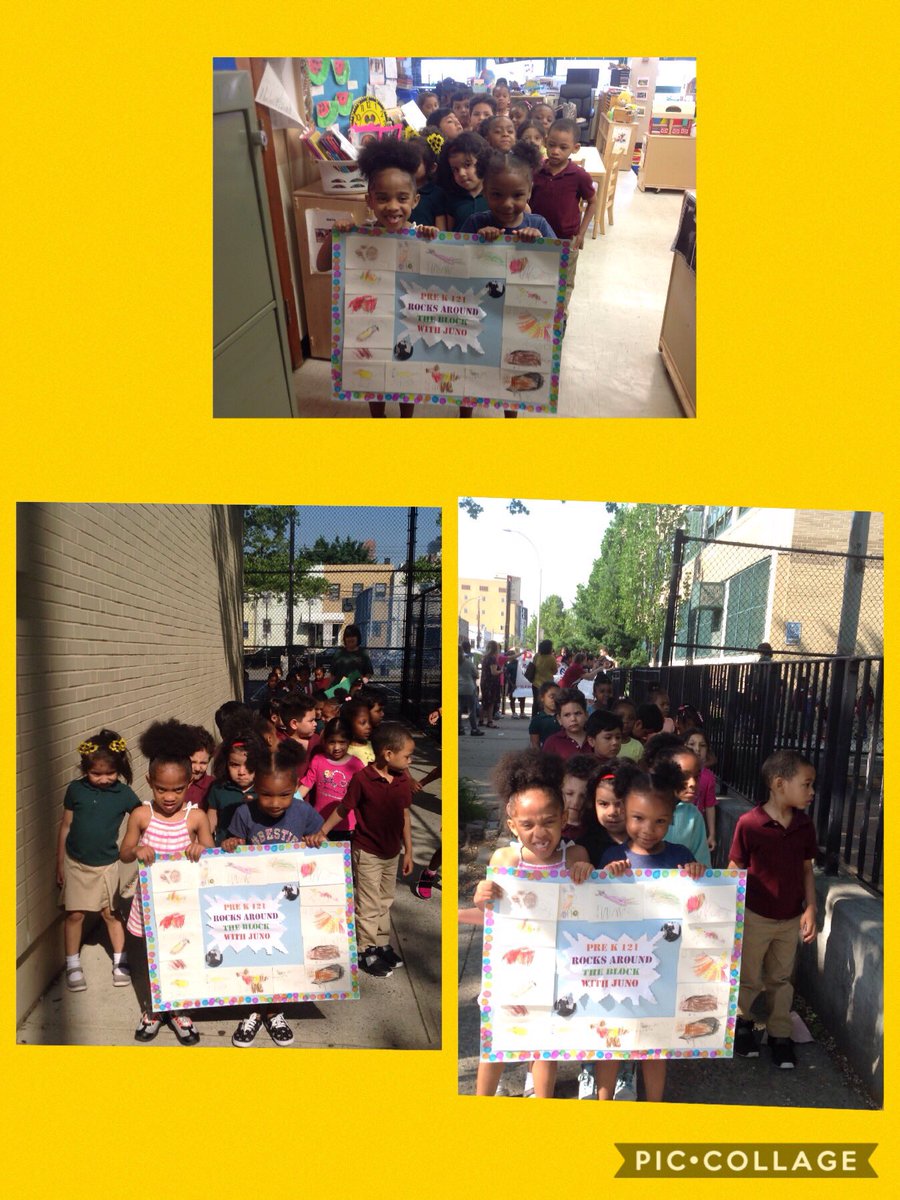 Pre K 121 Rocks Around The Block With Juno#ps76