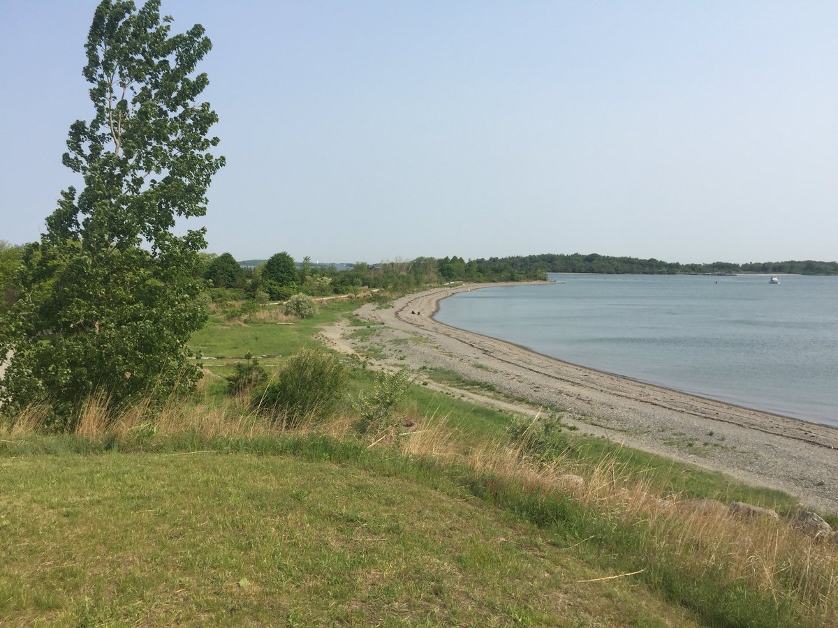 Becky_Haugh's tweet photo. North #WeymouthMA #BackRiver #WebbStatePark #BostonHarborIslands https://t.co/wokCwrJU93