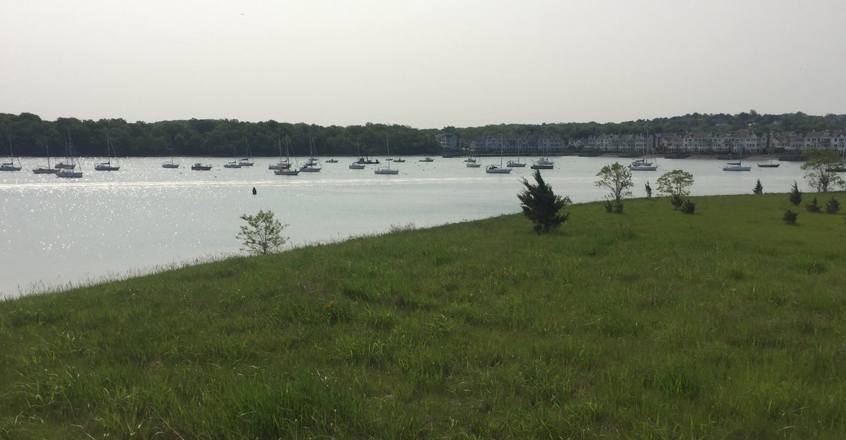 Becky_Haugh's tweet photo. North #WeymouthMA #BackRiver #WebbStatePark #BostonHarborIslands https://t.co/wokCwrJU93