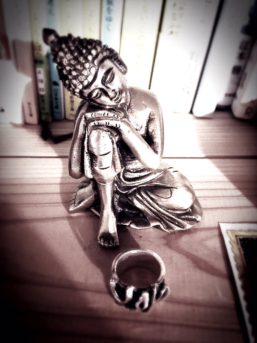 nagipan_jp's tweet photo. zzz… #amida_studio https://t.co/uBxoHWG5EK