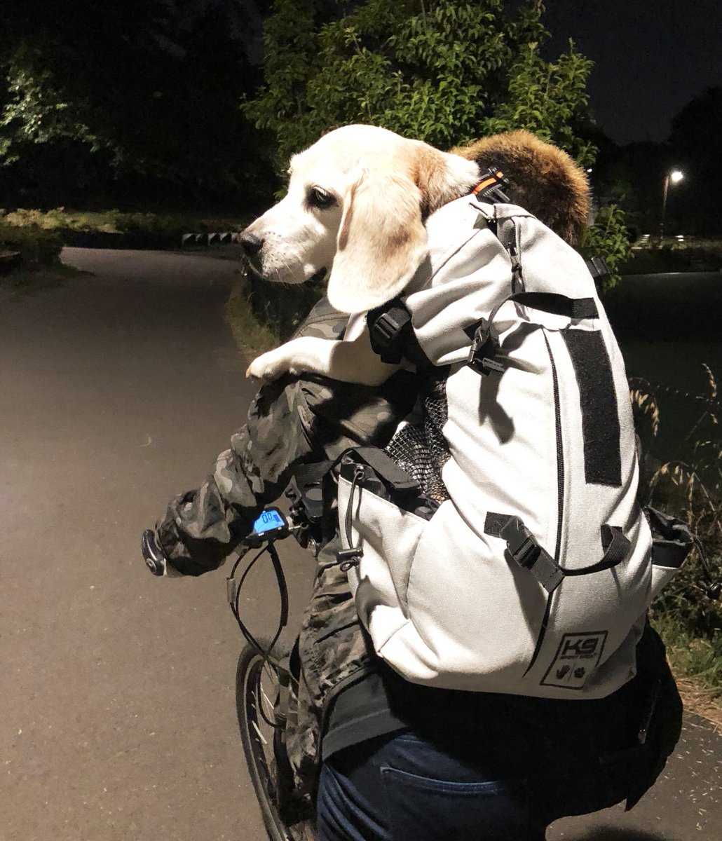 犬 用 自転車