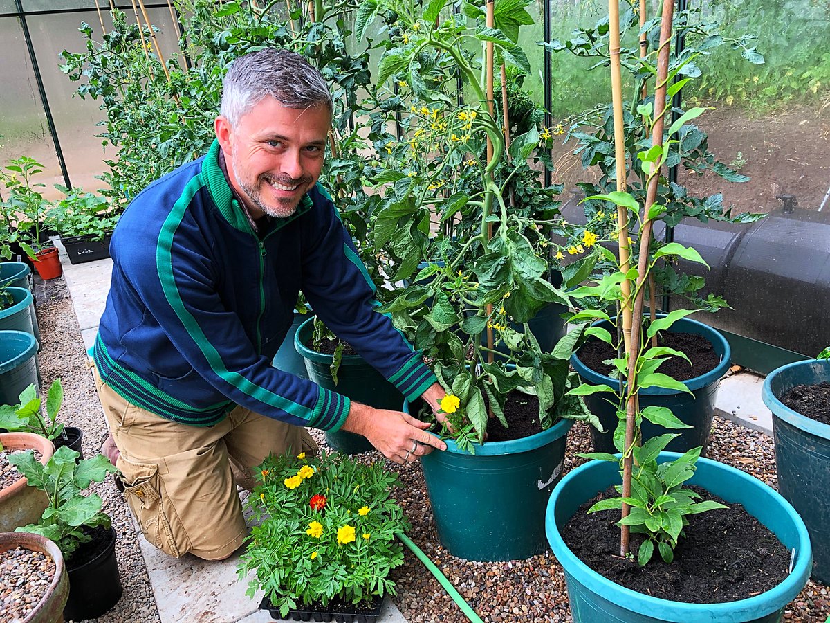 RobsAllotment photo