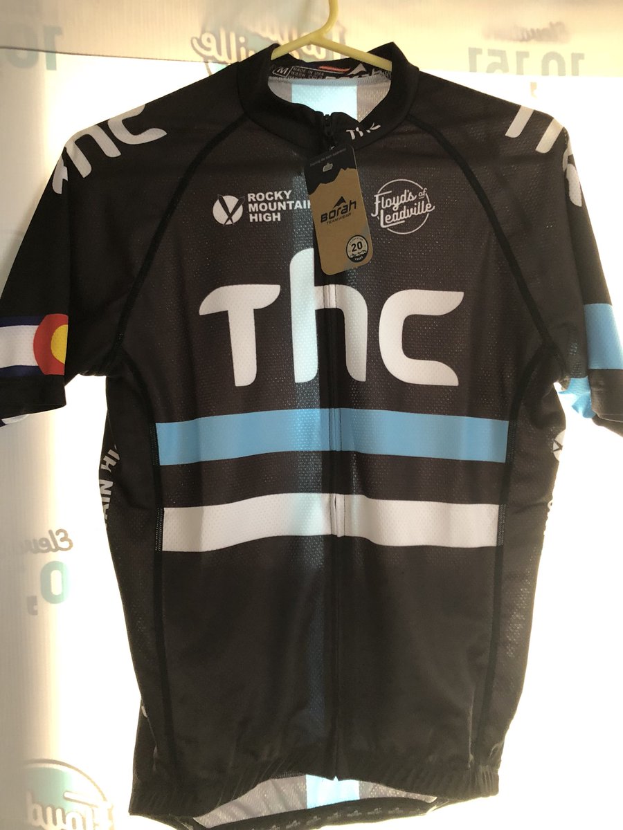 скай лендис