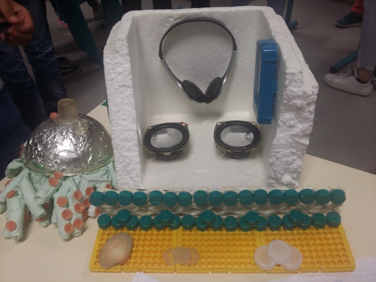 Hypatie's tweet photo. Bravo et merci à tous les élèves pour leur écoute et implication dans les ateliers artistiques et scientifiques de la journée #ECOBIM ! Merci à tous les scientifiques #EPOC et aux artistes #régénération33 @RomanKroke https://t.co/OE3HpNPtxB