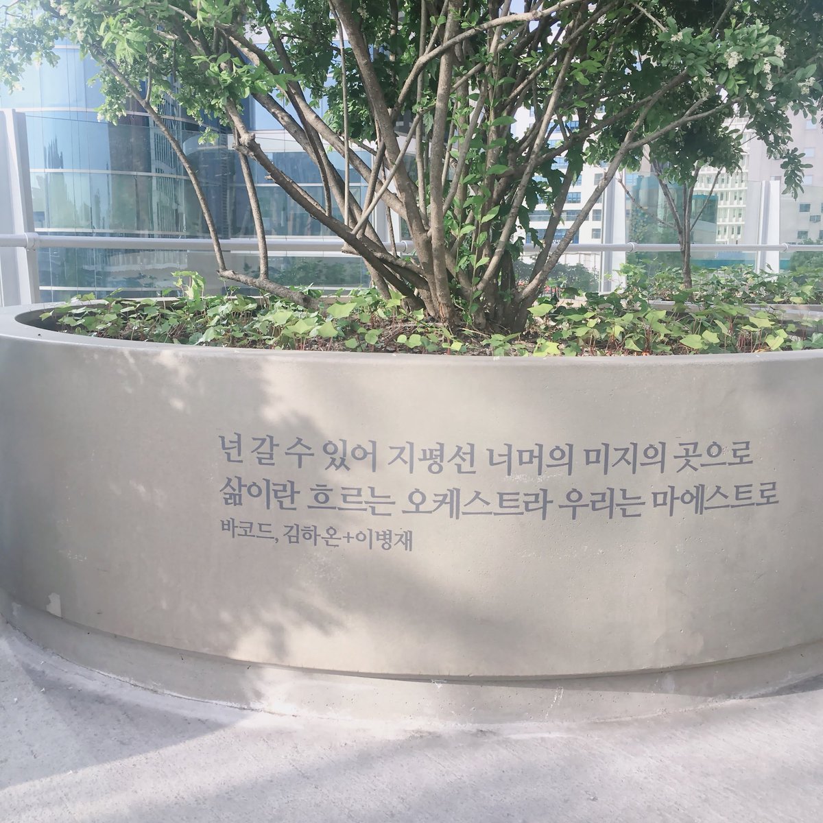 be_the_best__VX's tweet photo. 서울역에 있는 서울로 7017 고가공원 나무 화분에 바코드 가사가 적혀있어요! 나무처럼 푸르른 아이들의 음악들이 나무 가지들처럼 높게 뻗어나가길 바라요💞 https://t.co/QQYSycnX04