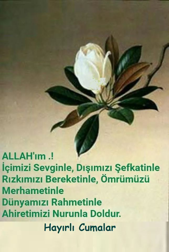 Salih (@salih37911741) on Twitter photo 