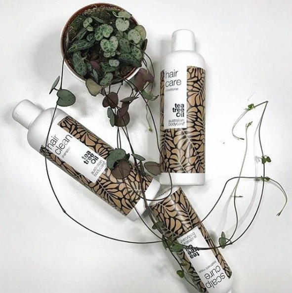 AustralianBody's tweet image. Hair Clean Shampoo ✔ Hair Care Conditioner ✔ Scalp Cure Treatment Mask ✔ The perfect trio to ensure your hair experiences a new fresh sense of clean 🌱💚 #hairhealthy #loveyourhair #teatreeoil #australianbodycare