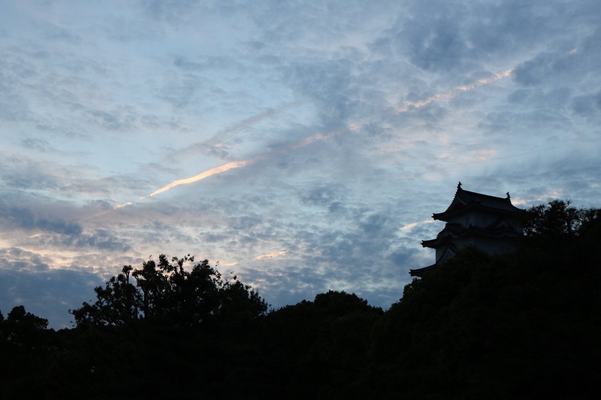 basa_photo's tweet photo. 写真垢作りました📷
超初心なので少しずつカメラの扱いに慣れていこうと思います！
気軽にフォローお願いします🙇‍♂️

#写真撮ってる人と繋がりたい 
#一眼レフ初心者 
#カメラ好きな人と繋がりたい 
#カメラ初心者 
#ファインダー越しのわたしの世界 https://t.co/VRbb1aReVF