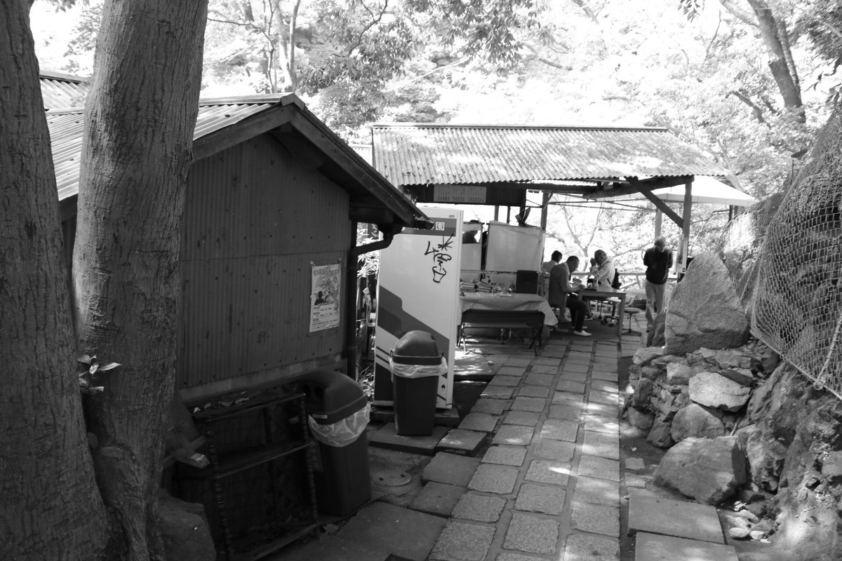 basa_photo's tweet photo. 写真垢作りました📷
超初心なので少しずつカメラの扱いに慣れていこうと思います！
気軽にフォローお願いします🙇‍♂️

#写真撮ってる人と繋がりたい 
#一眼レフ初心者 
#カメラ好きな人と繋がりたい 
#カメラ初心者 
#ファインダー越しのわたしの世界 https://t.co/VRbb1aReVF