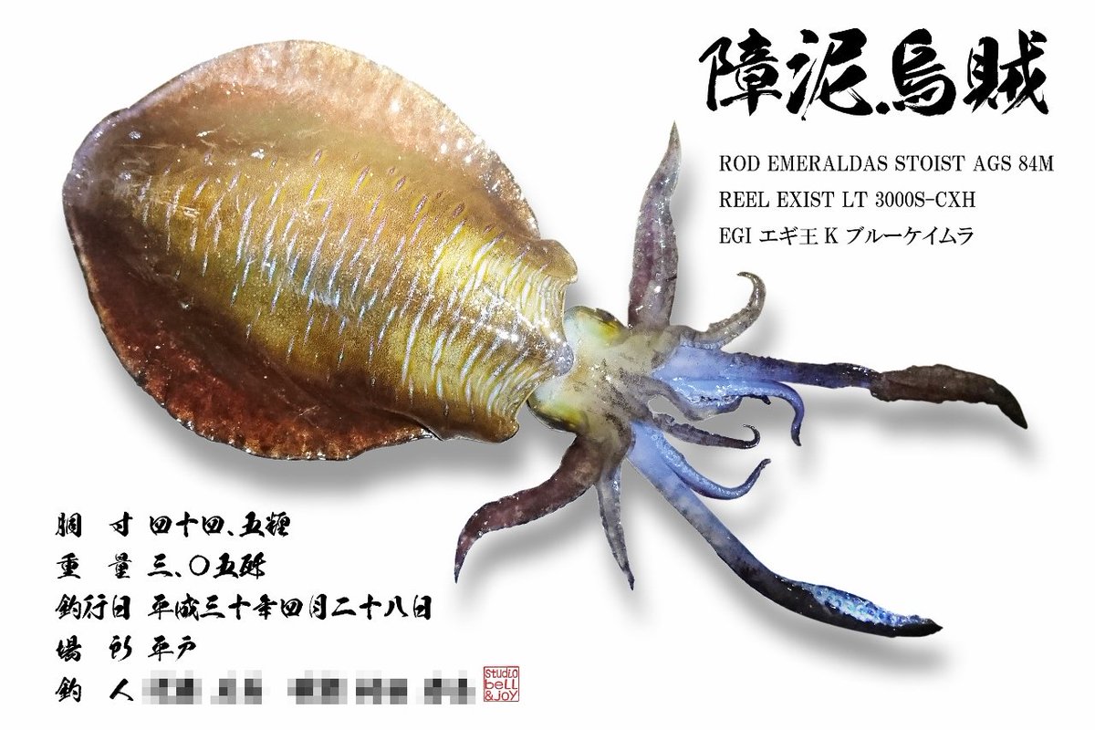 栗林拓也 Bell Joy Sur Twitter 今回ご紹介させて頂きますデジタル魚拓は障泥烏賊 釣っても食べても大人気のターゲットですね このご依頼主様は去年も障泥烏賊のデジタル魚拓をご依頼頂き 今年もいいの釣れたから と再度ご依頼頂きました デジタル魚拓 栗林拓也 Bell Joy Sur Twitter 今回ご紹介させて頂きますデジタル魚拓は障泥烏賊 釣っても食べても大人気のターゲットですね このご依頼主様は去年も障泥烏賊のデジタル魚拓をご依頼頂き 今年もいいの釣れたから と再度ご依頼頂きました デジタル魚拓