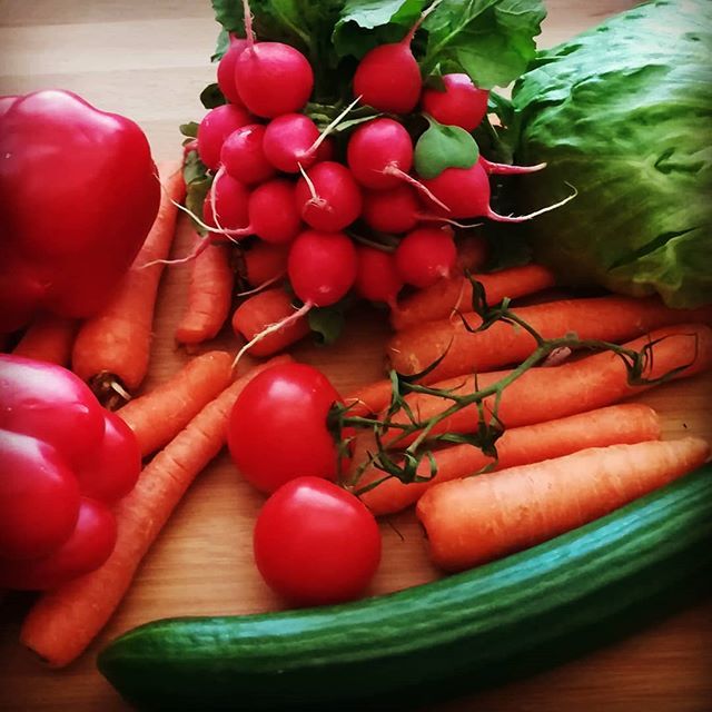 karldietz's tweet image. Almost #food20 blogging #DZ20 #OPENmooc