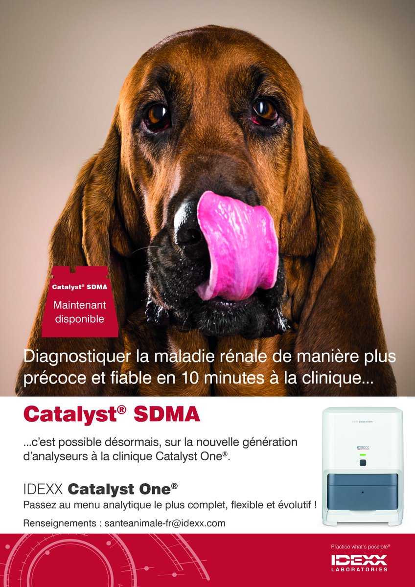 IDEXX_France's tweet photo. IDEXX Catalyst One® 
Un analyseur complet, flexible et évolutif qui intègre, depuis le 7 mai 2018, le dosage de la SDMA à son menu analytique.
Routine, SDMA, T4 Totale, électrolytes, protéine C-Réactive, fructosamine, RPCU et bien d'autres paramètres à venir.
#SDMA #Catalyst® https://t.co/PmSgggf4lI