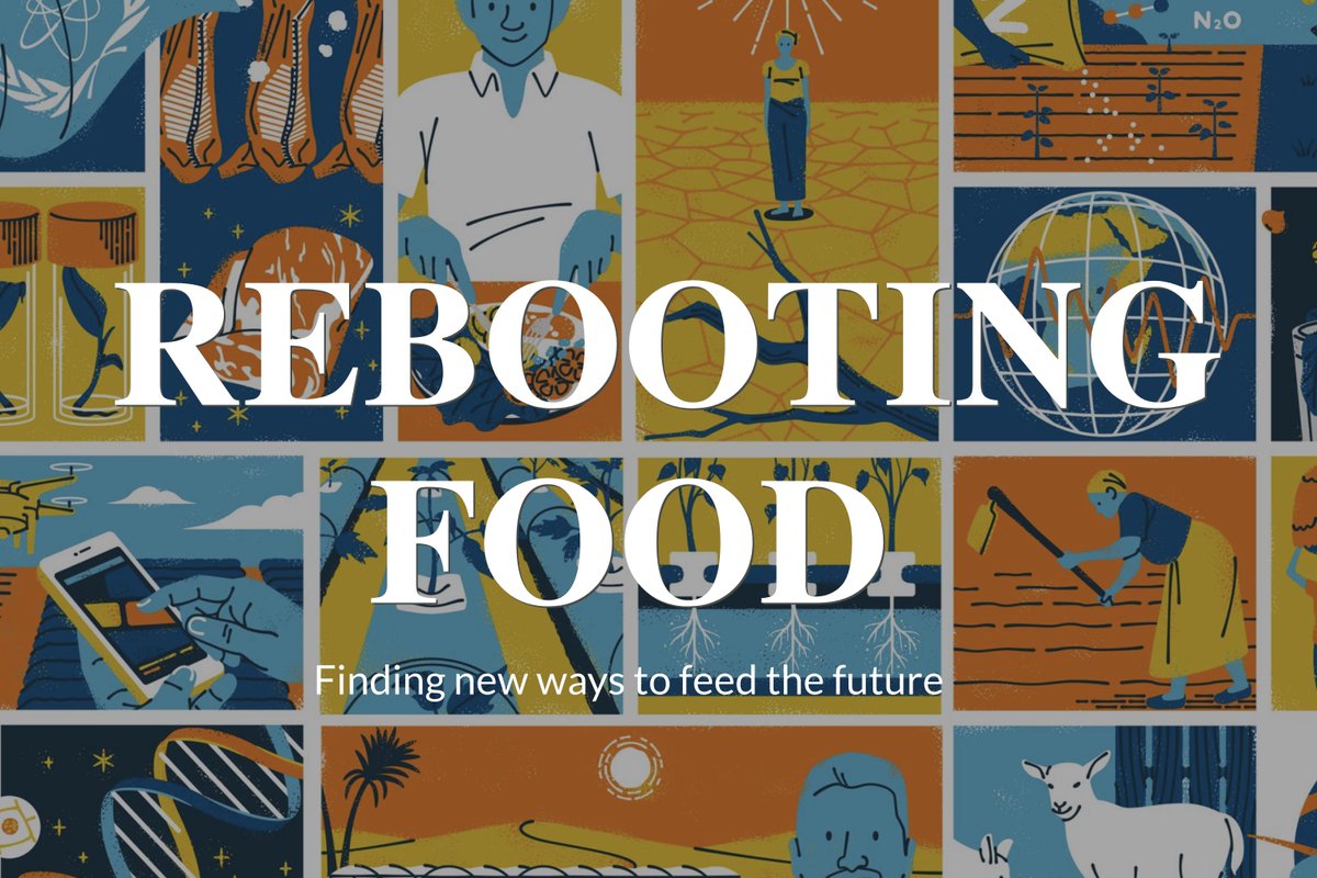 ContextNewsroom's tweet photo. Fact: 815 mln people go hungry every day
Fact: 1.3 bln tonnes of food is lost or wasted every year

Time to rethink #food. 
Our new series #RebootingFood out now: https://t.co/UxQpfIdk0s https://t.co/gnbdlxOoEA