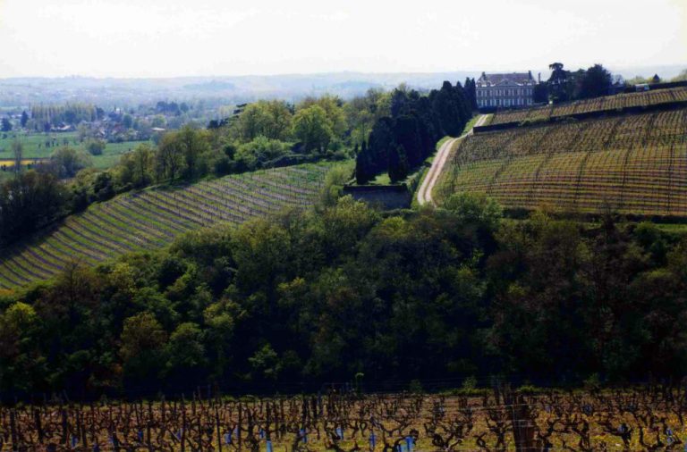 VinatisDE's tweet photo. Charakterkopf aus Savennières https://t.co/9bTH3JBAeX